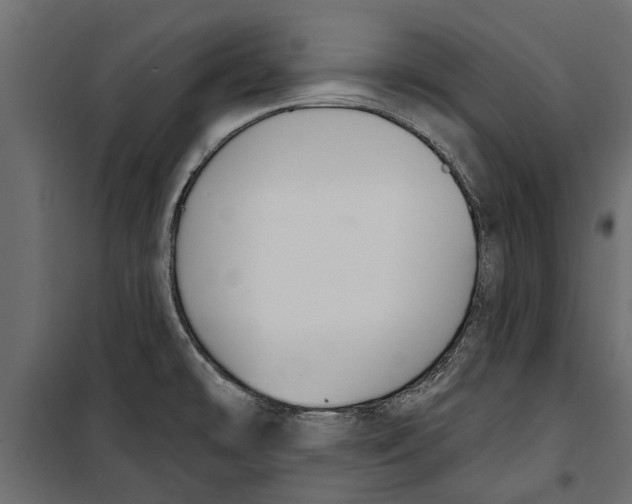 X0000099951478200806201301
