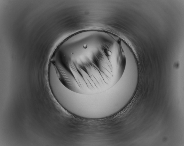X0000099951480200806201301