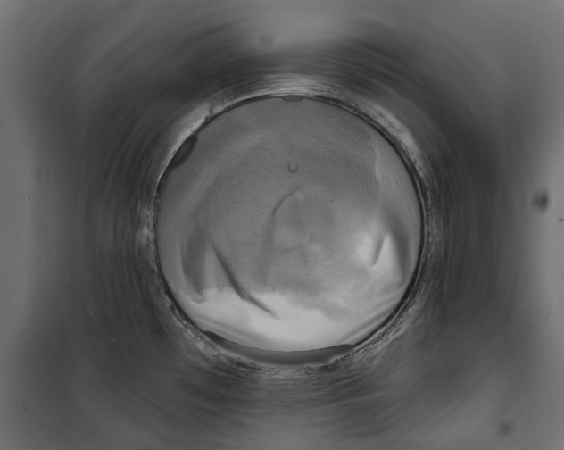 X0000099951481200806201301
