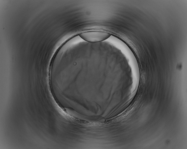 X0000099951482200806201301