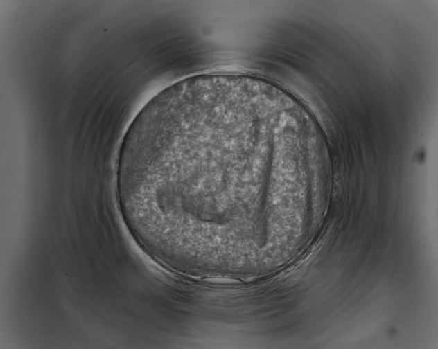 X0000099951483200806201301