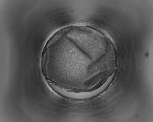 X0000099951484200806201301