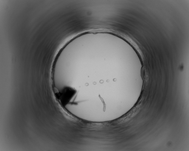 X0000099951485200806201301
