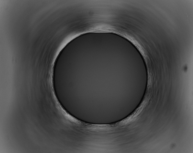 X0000099951486200806201301