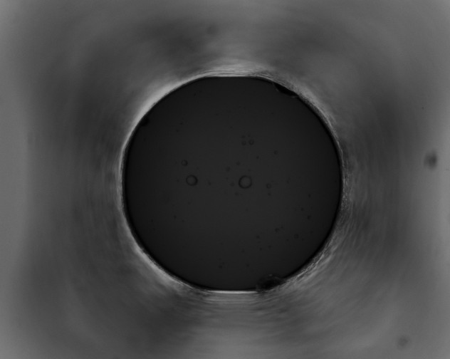 X0000099951487200806201301