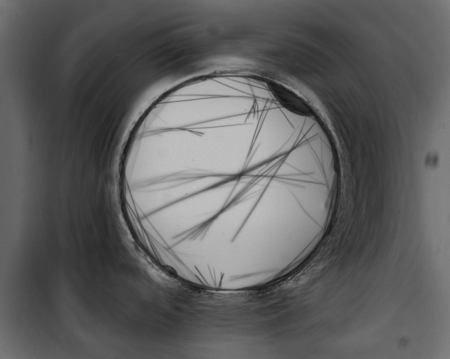 X0000099951488200806201301