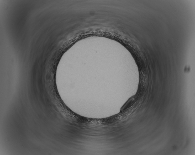 X0000099951489200806201300