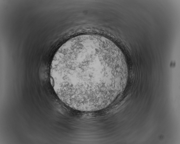 X0000099951490200806201300