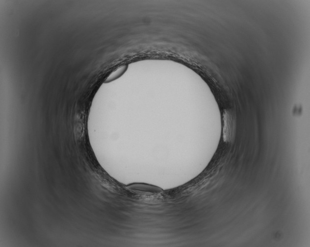 X0000099951491200806201300
