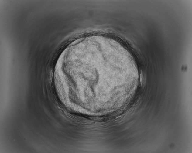 X0000099951492200806201300