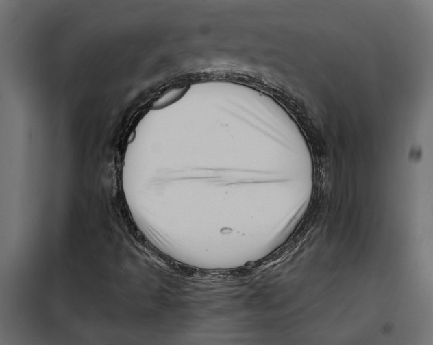 X0000099951493200806201300