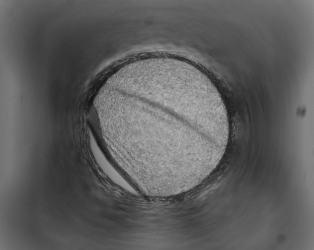 X0000099951494200806201300