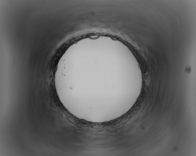 X0000099951495200806201300