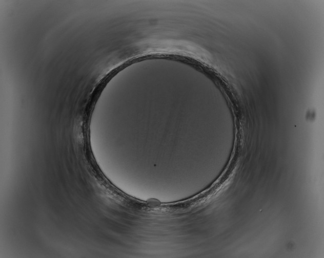 X0000099951497200806201300