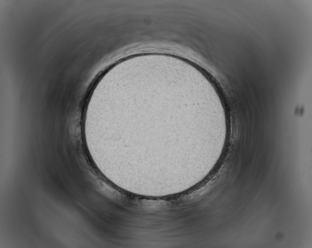 X0000099951498200806201300