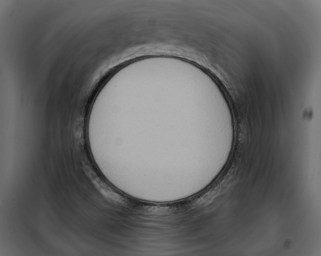 X0000099951499200806201300