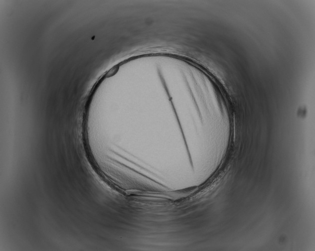 X0000099951500200806201300