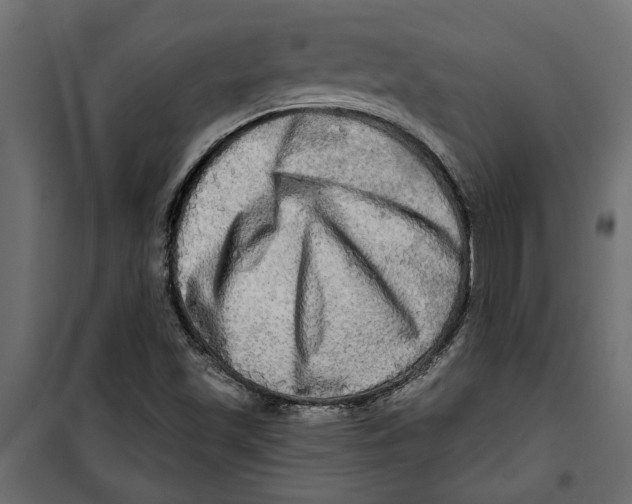 X0000099951501200806201301