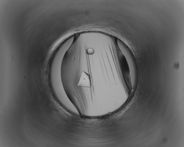 X0000099951502200806201301