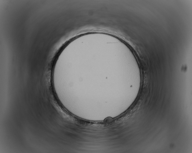 X0000099951503200806201301