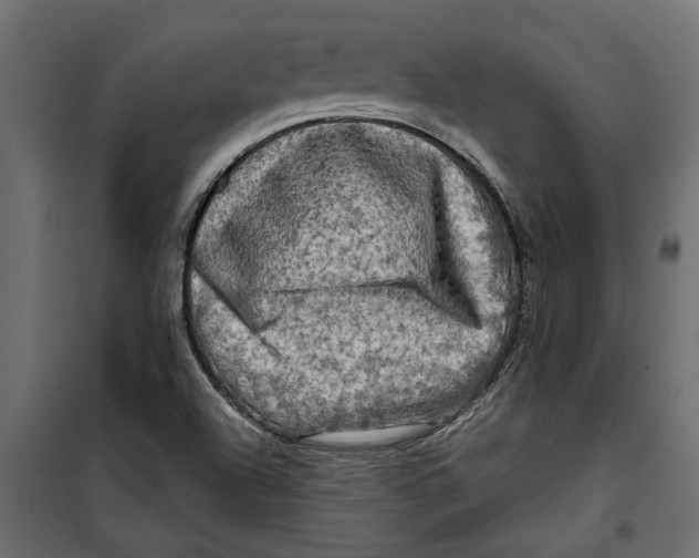 X0000099951504200806201301