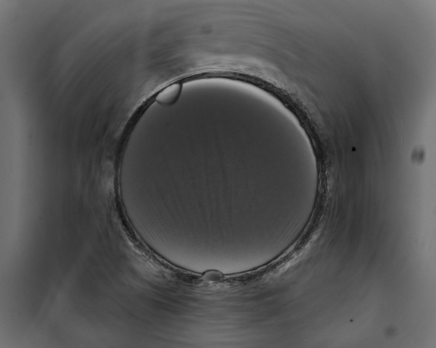 X0000099951505200806201301