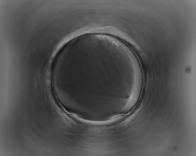 X0000099951506200806201301