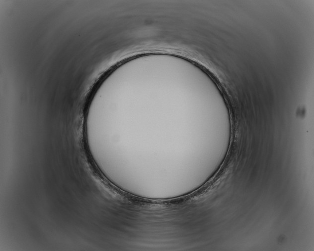 X0000099951507200806201301