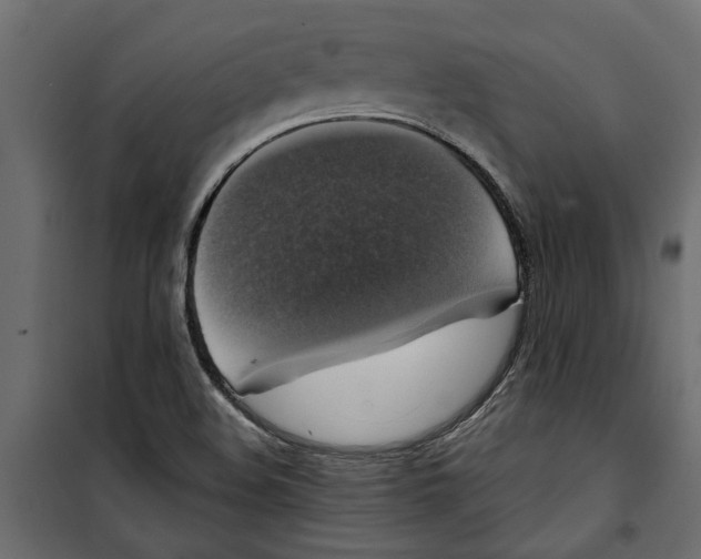 X0000099951508200806201301