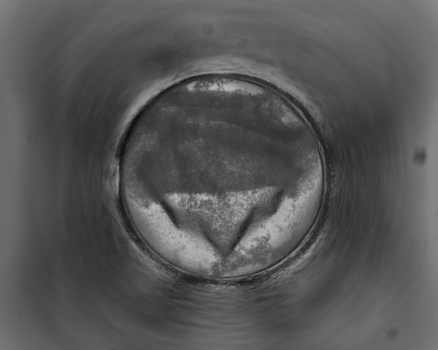X0000099951509200806201301