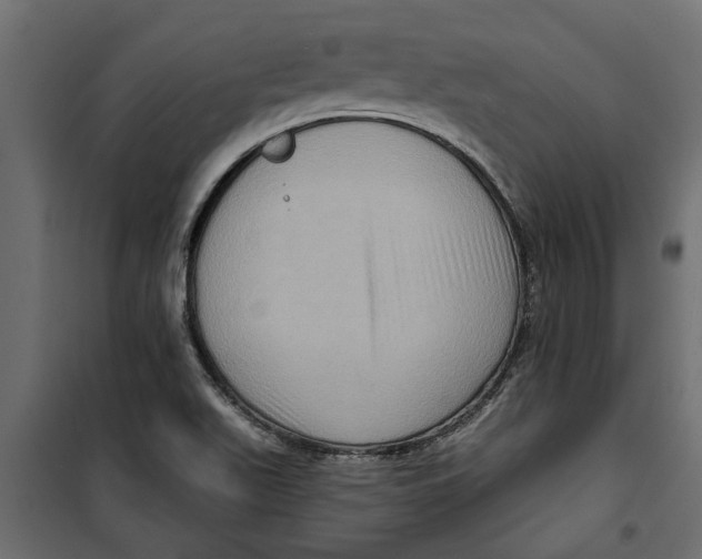 X0000099951511200806201301