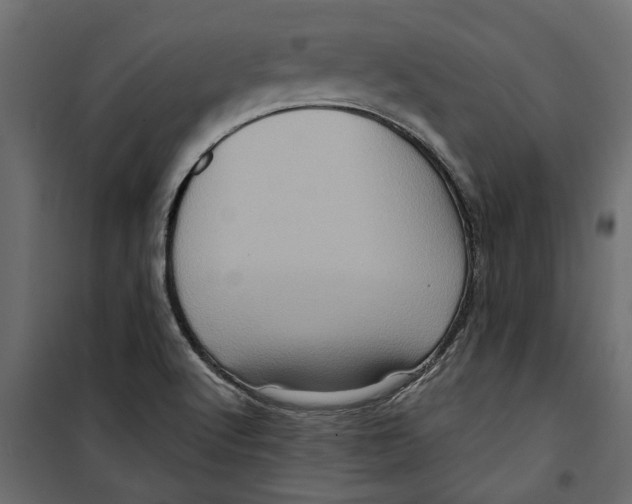 X0000099951512200806201301