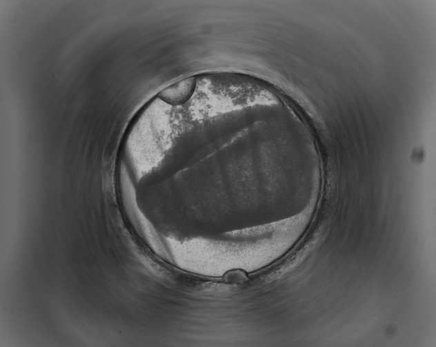 X0000099951513200806201301