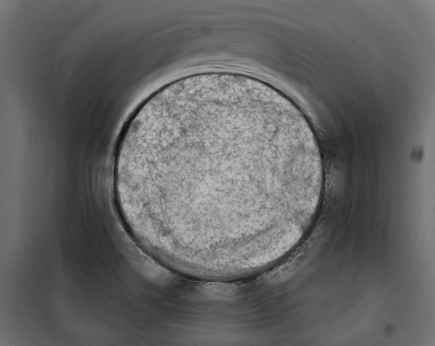 X0000099951514200806201301