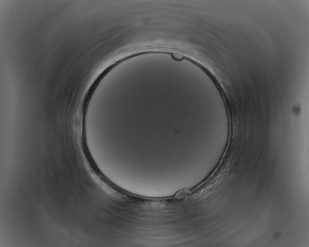 X0000099951515200806201301