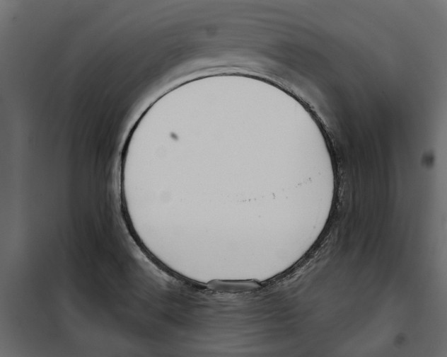 X0000099951516200806201301