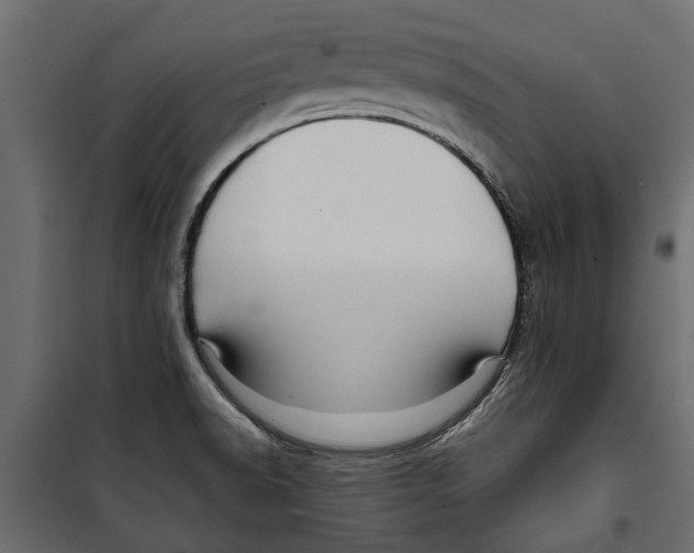 X0000099951518200806201301