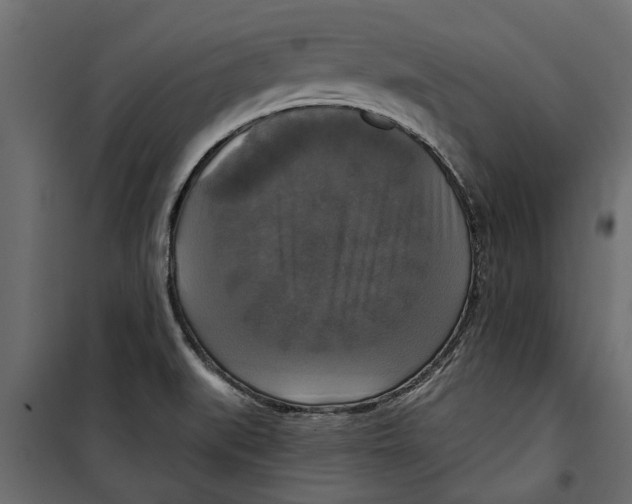 X0000099951519200806201301