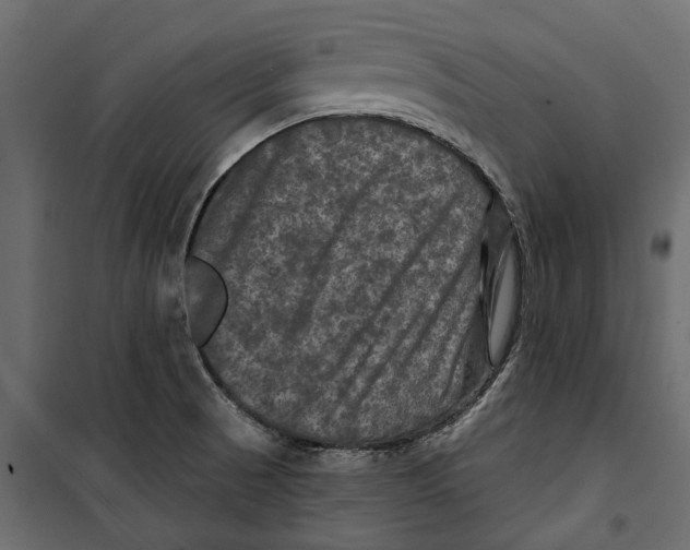 X0000099951521200806201301