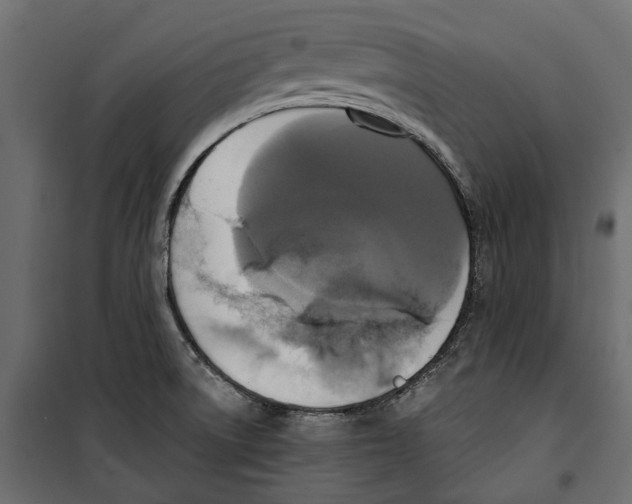 X0000099951522200806201301