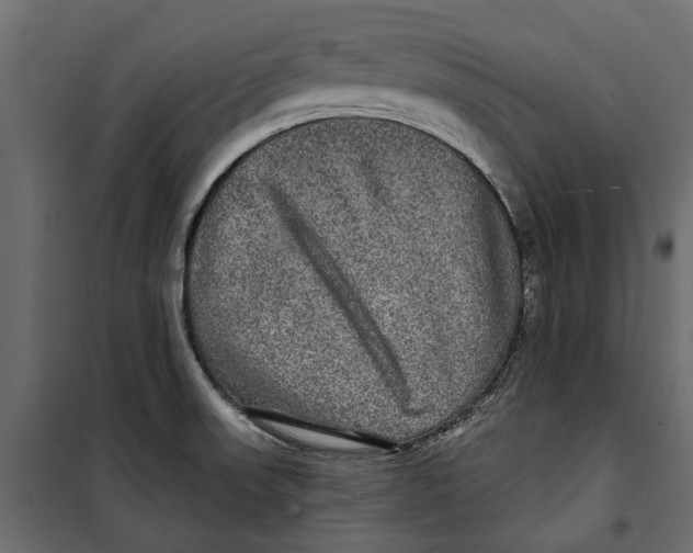 X0000099951523200806201301