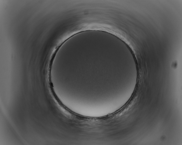 X0000099951525200806201301
