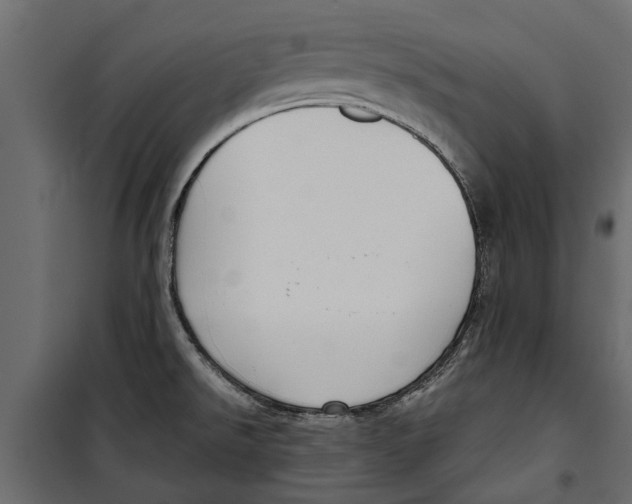 X0000099951526200806201301