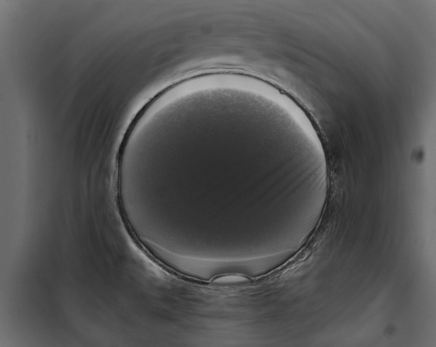 X0000099951527200806201301
