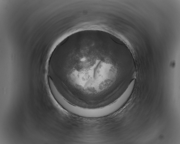 X0000099951528200806201301