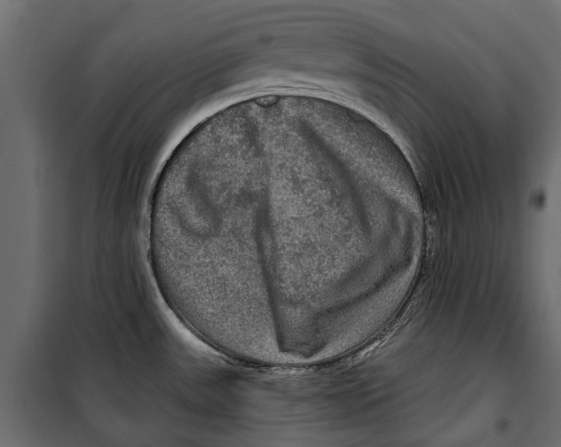 X0000099951531200806201301