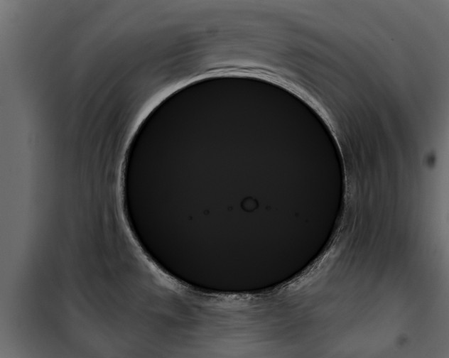 X0000099951533200806201301