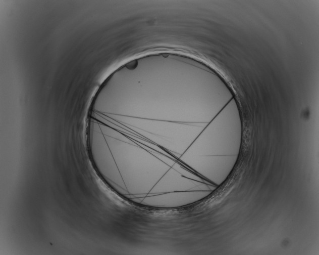 X0000099951535200806201301