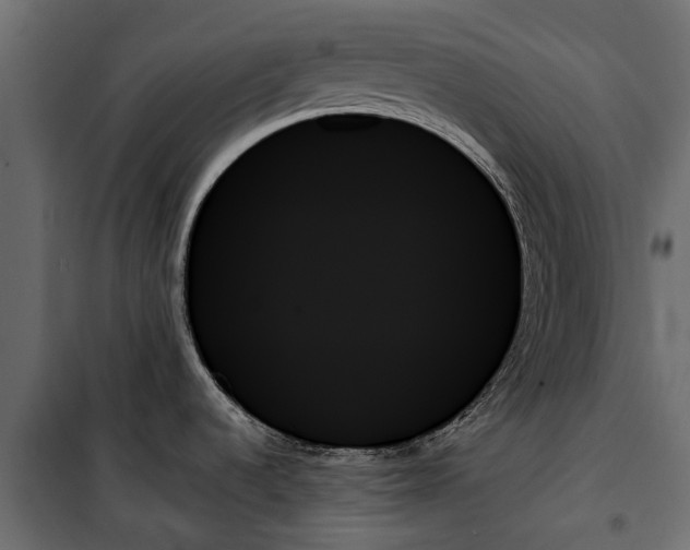 X0000099951536200806201301