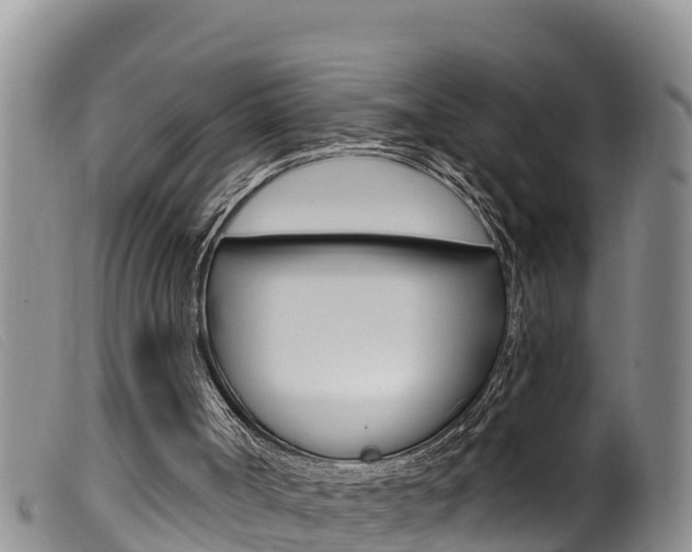 X0000099960002200805231038